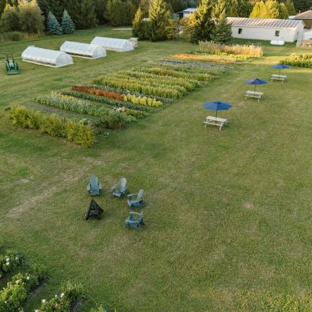 High-angle view of Mapleton Acres featuring colorful crop rows, three greenhouses, and a green tractor. Several picnic tables with blue umbrellas and a small fire pit with Adirondack chairs are arranged on a spacious grass lawn.