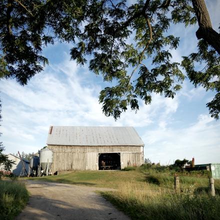 Wooden barn with a metal roof and open doors, framed by overhanging tree branches under a bright, blue sky.