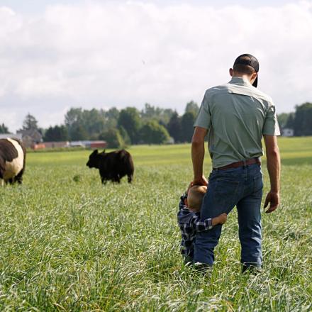 Man and child standing in a field together, looking at cows.
