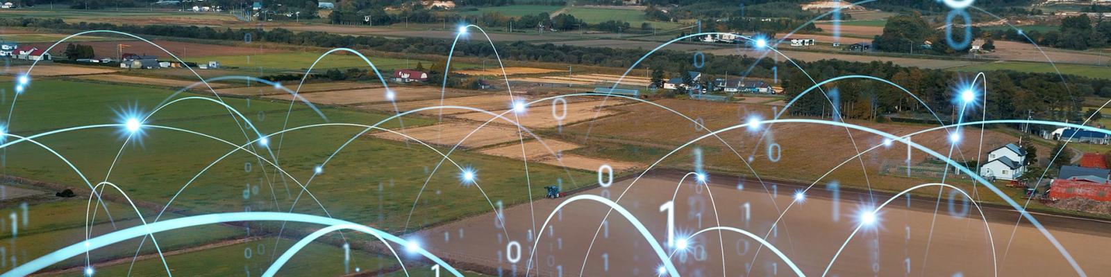 Agriculture and technology concept showing a rural field with imaginary connectivity lines and binary code