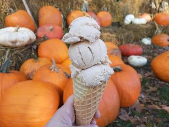 waffle cone of pumpkin ice cream infront of pumpkins