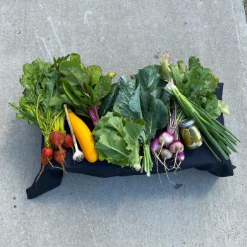 array of vegetables on a table for CSA