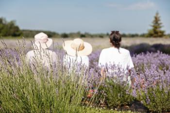 three people looking into a lavender field