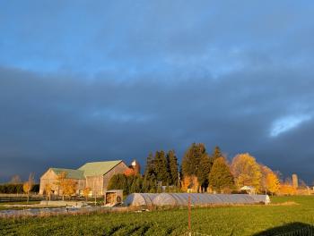 A rural farmstead at golden hour, with a farmhouse and barns set among autumn-coloured trees, a green field in the foreground, and dramatic clouds lit by warm evening sunlight