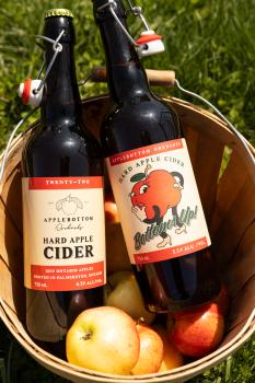 Two swing-top bottles of hard apple cider in a wooden basket filled with fresh apples.