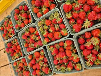 Containers of fresh Ontario strawberries sitting on a wooden table.