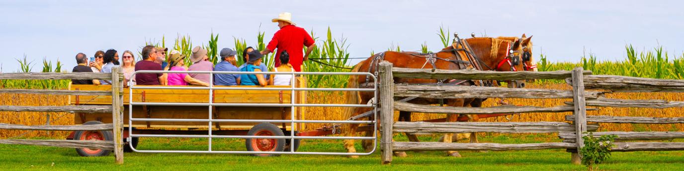 Group of people sitting in a large horse drawn wagon getting a tour through a farm