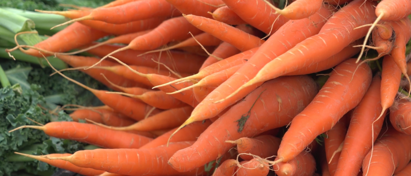 Fresh carrots stacked together