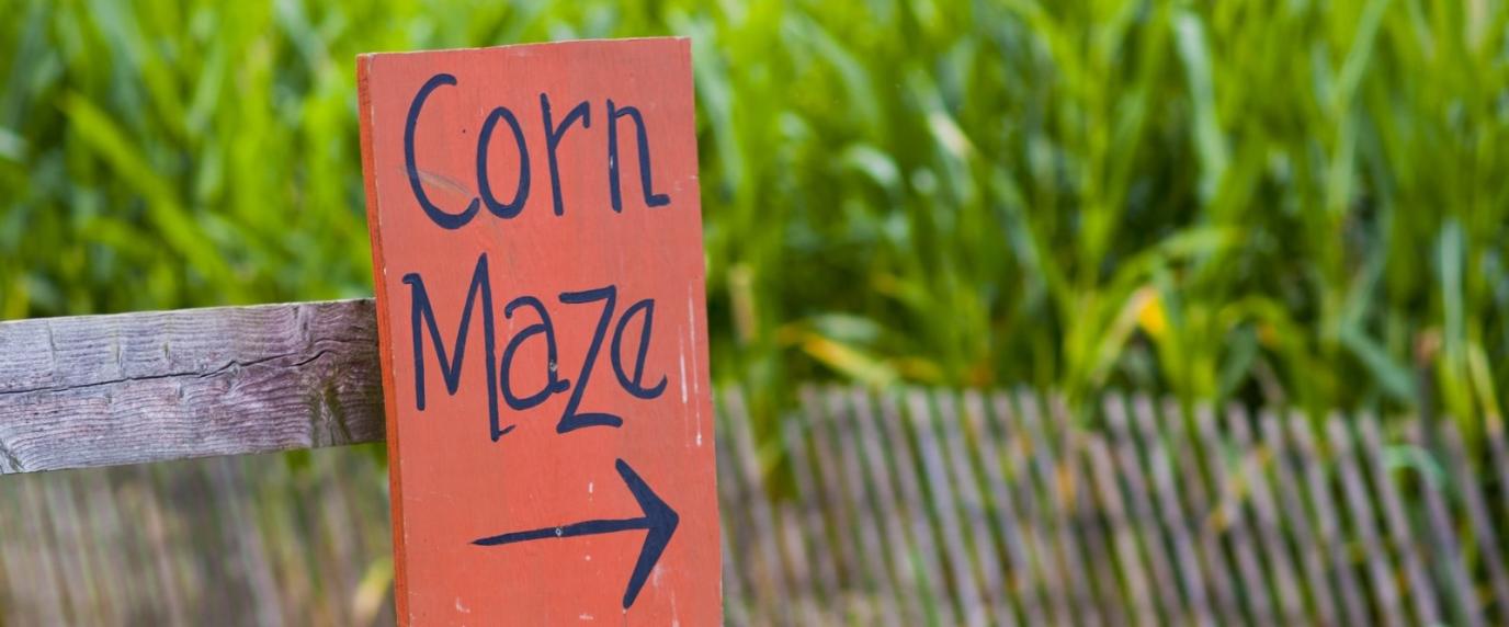 corn maze sign in front of corn field