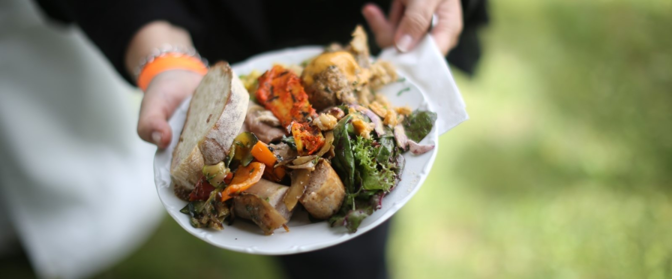 hands holding plate full of gourmet cooked food
