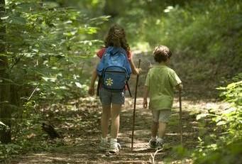 two children walking on a forest trail in the summer