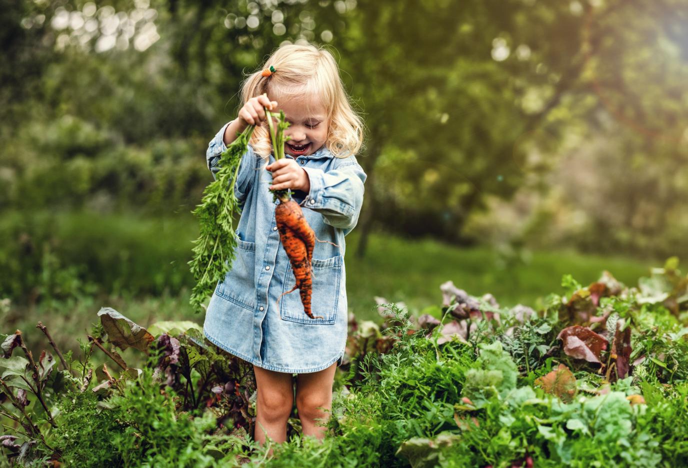 girl holding a carrot in a garden setting