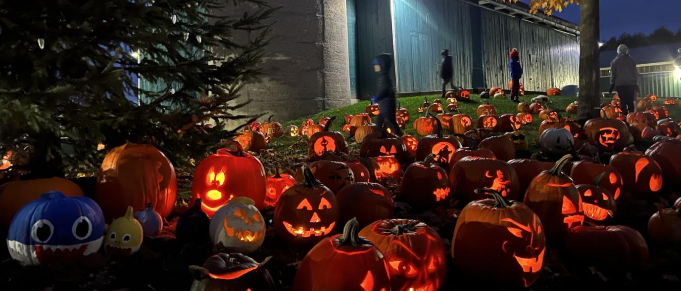 A outdoor evening display of illuminated jack-o'-lanterns spread across a lawn next to a building, with people walking in the background.